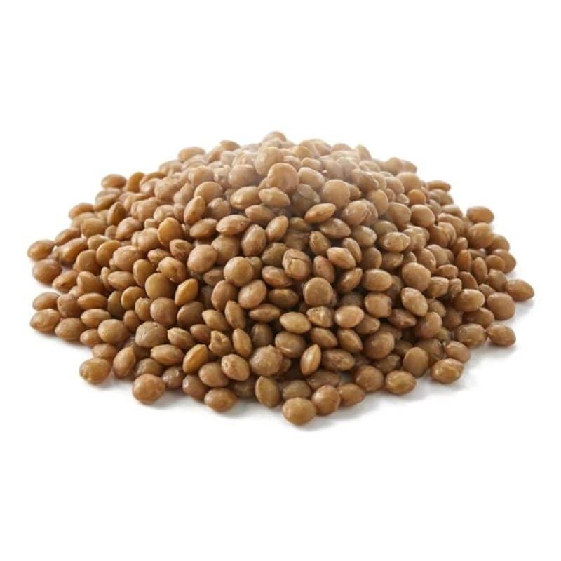 IQF Brown Lentils, fully cooked and individually quick frozen