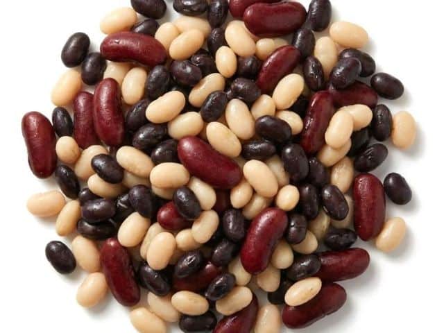 IQF Navy, Black & Red Kidney Bean Blend, fully cooked and individually quick frozen