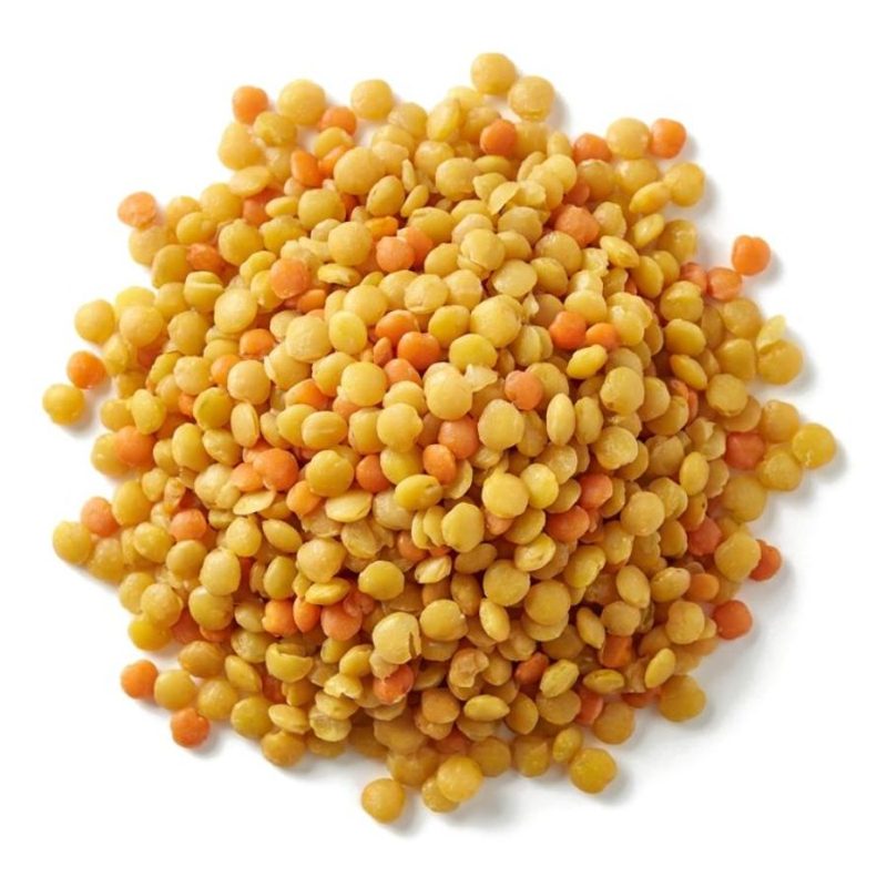 IQF Yellow and Red Lentils, fully cooked and individually quick frozen