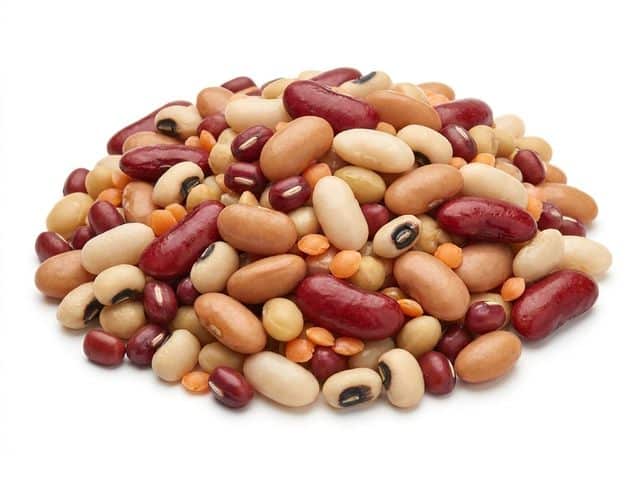 IQF Seven Bean Blend, fully cooked and individually quick frozen
