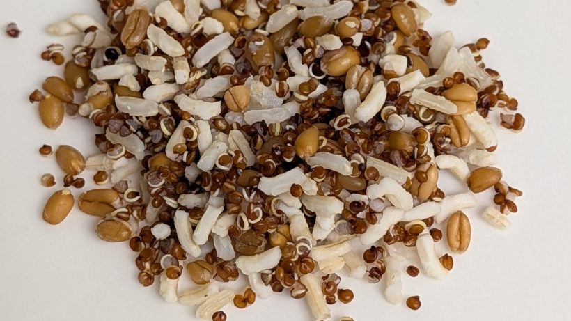 IQF Brown Rice Red Quinoa Farro Blend