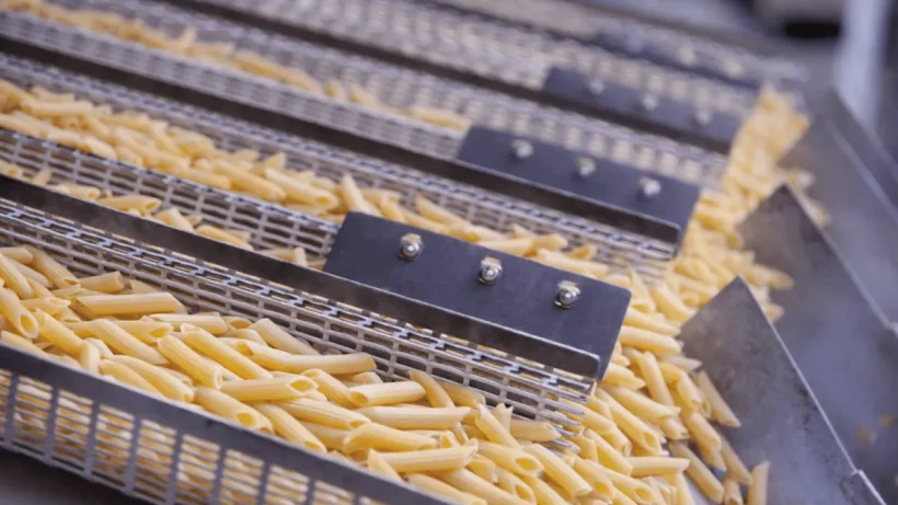 What Is IQF Freezing? A Practical Guide for Frozen Food Quality