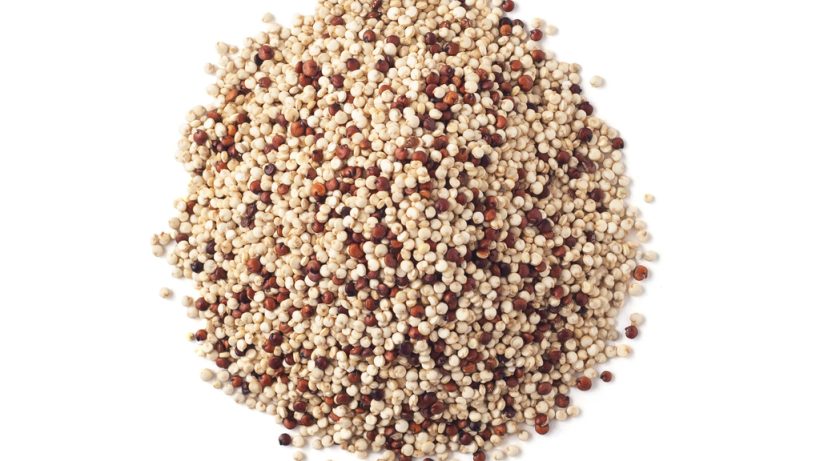 IQF White and Red Quinoa Blend