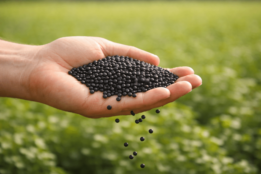 harvesting iqf ingredients like iqf grains