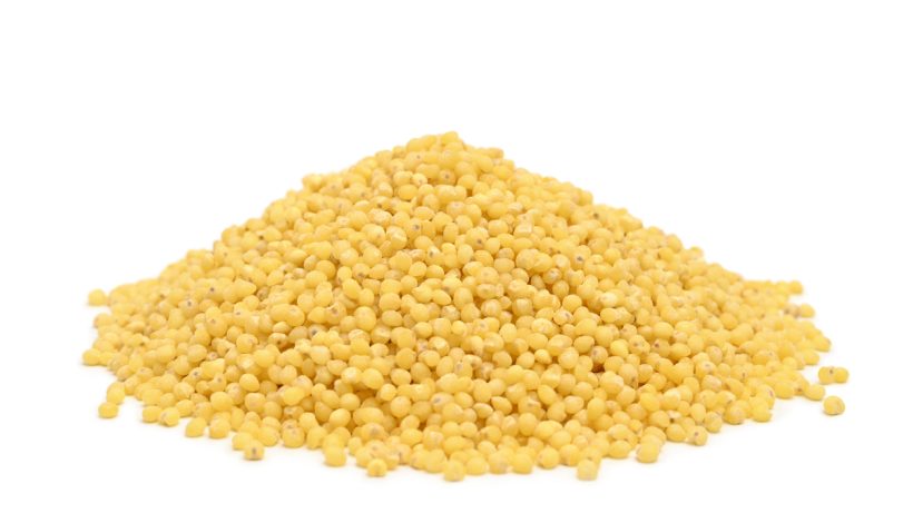 IQF Millet