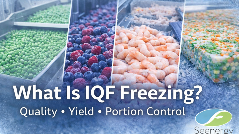 What Is IQF Freezing? A Practical Guide for Frozen Food Quality